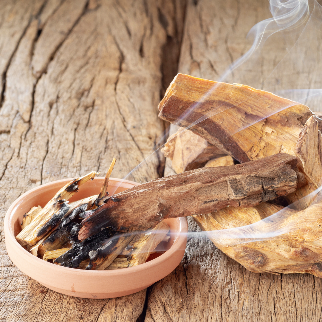burning palo santo in tray