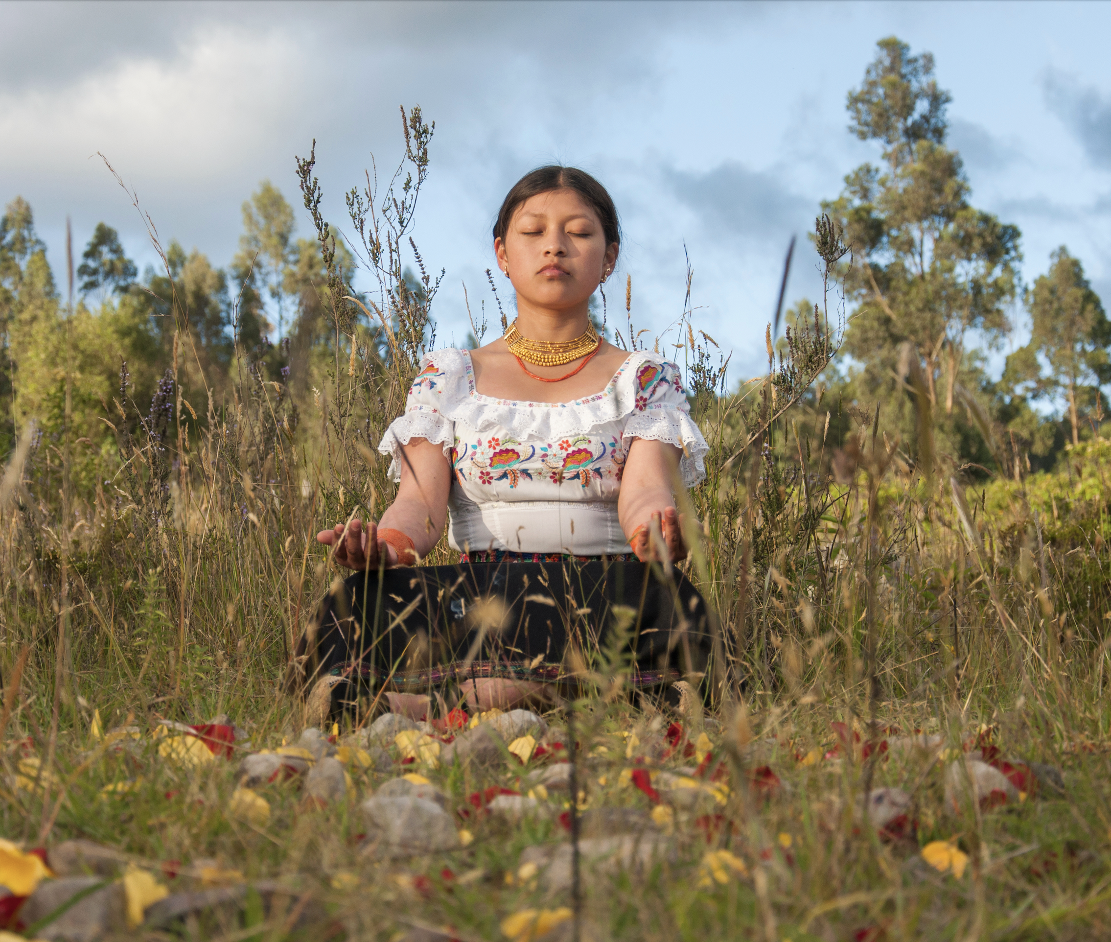 Picture of Indigenous woman sitting with her eyes closed in a field with stones and flowers